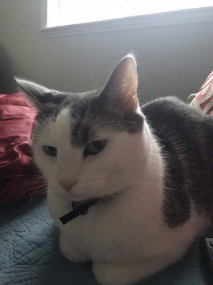 photo of Meredith J.