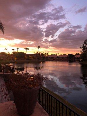 photo of Elizabeth Betsy H.