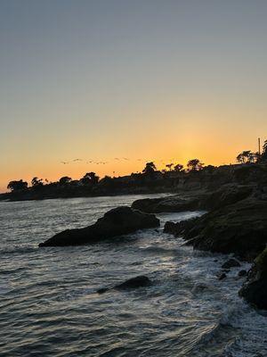 Photo of Nia-mercedes C.