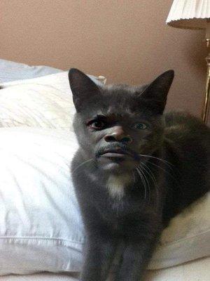 Photo of Alexander C.