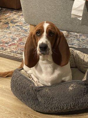 Photo of Margarita C.