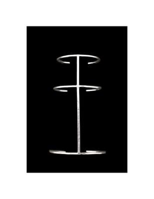 photo of Adrienne C.