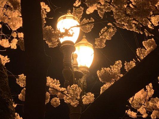 Photo of Michael C D.