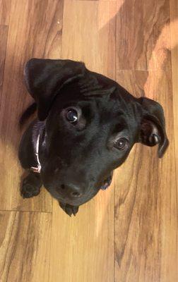 photo of Kristina M.