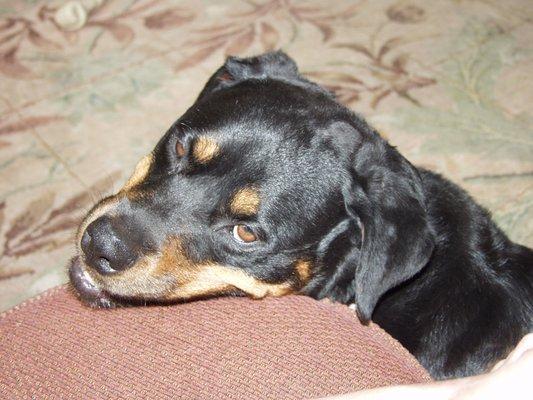 photo of Jacqueline B.