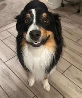 photo of Suvannah H.