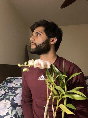 Photo of Shahrez Z.