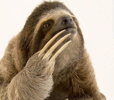 photo of Virginia P.