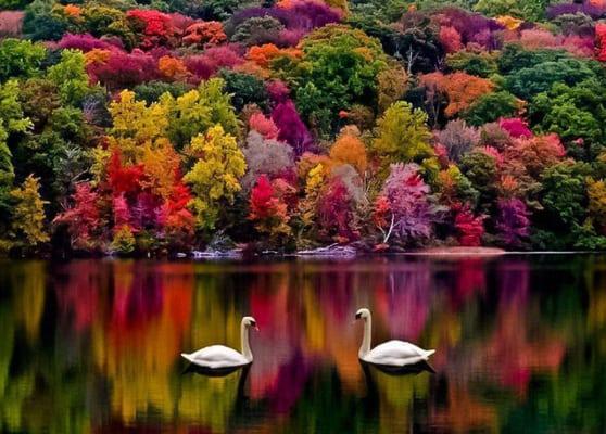 photo of Caroline M.