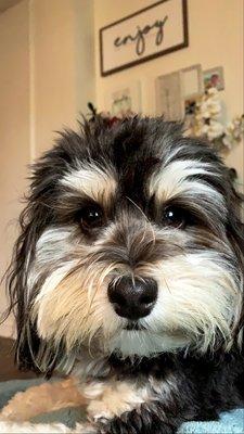 photo of Jacqueline M.