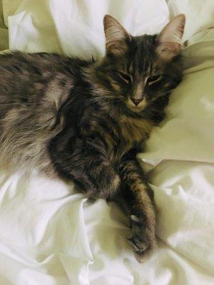 photo of Elizabeth H.