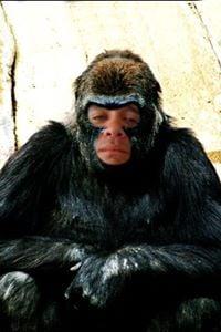 Photo of Tony D.