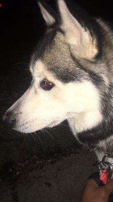 photo of Ryder D.