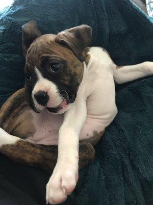 photo of Brittany H.