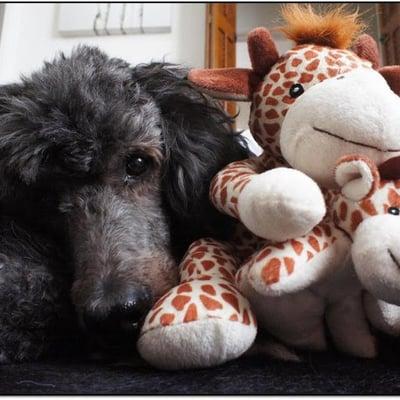 photo of Danielle E.