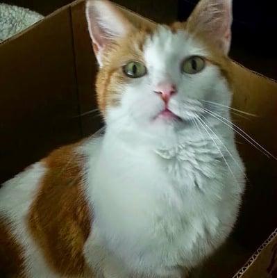 photo of Stephanie S.