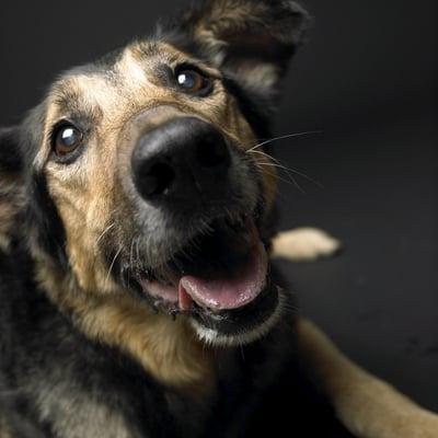 photo of Tuesday's S.