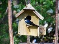 photo of Kathleen S.