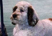 Photo of Rocco T.