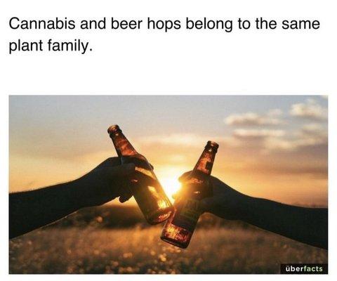 Photo of Sprinkles G.