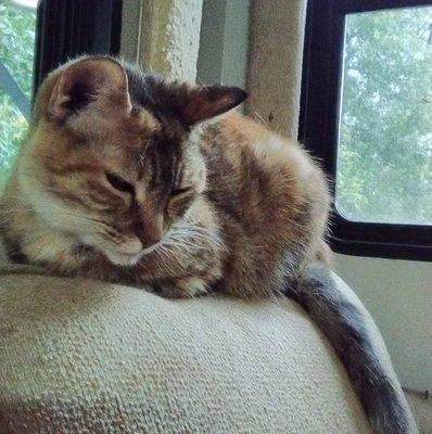 photo of Ann-Marie C.