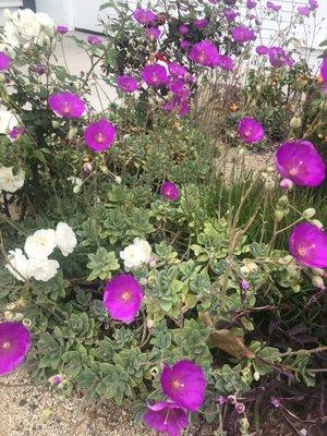 photo of Elizabeth G.