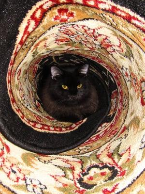 photo of Alejandra T.