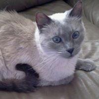 Photo of Tammy C.