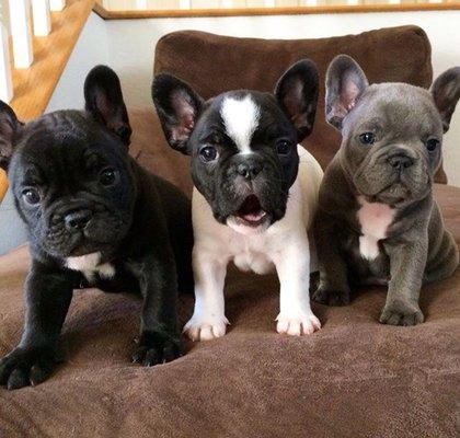 photo of Jacqueline T.