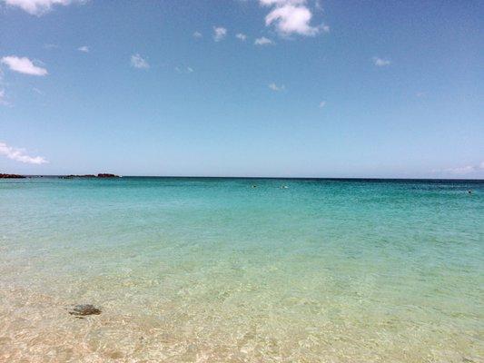 photo of Stephanie B.