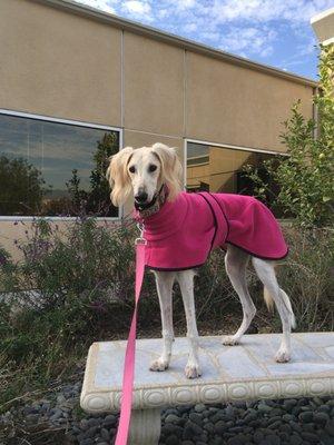 Photo of Genevieve F.