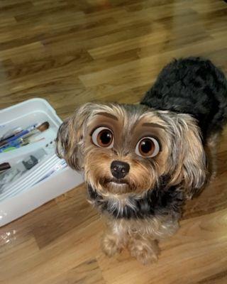 photo of So V.