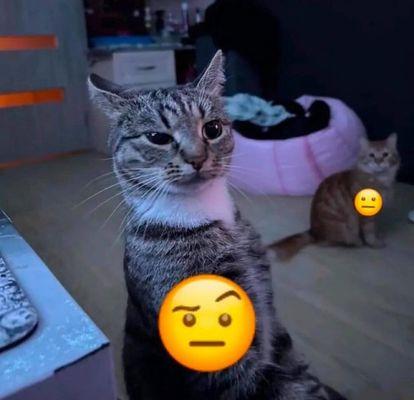 photo of Jonathan M.