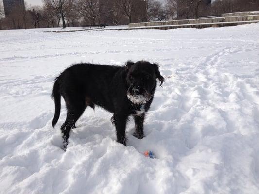 photo of Leamington M.