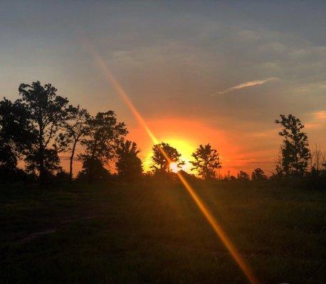 photo of Kristina M.