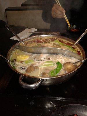 photo of Brigitte O.