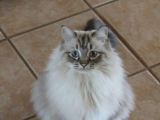 Photo of Frankie S.