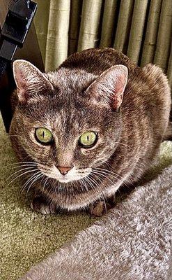 photo of Michelle S.