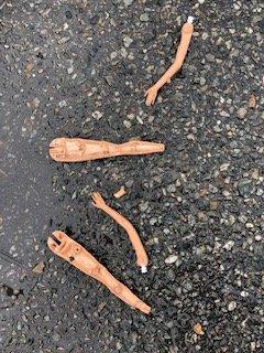 Photo of Barbie W.