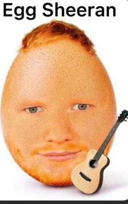 Photo of Gavin F.