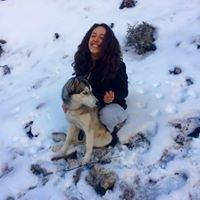 Photo of Sara Y.
