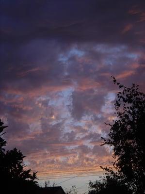 photo of Kristina M. D.