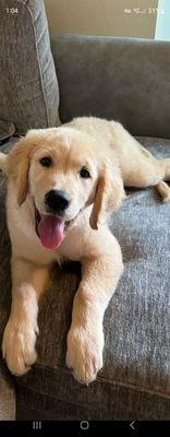 photo of Concerned C.