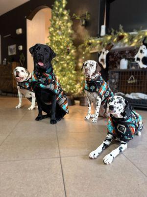 photo of Brigette S.