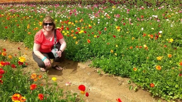 Photo of Kathy D.