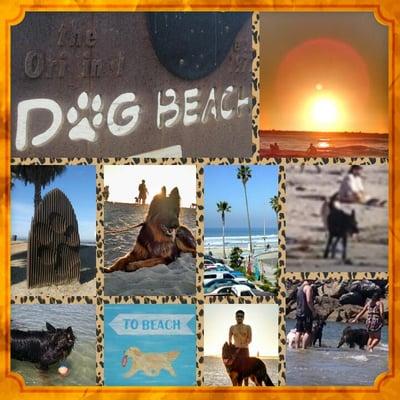 photo of Margarita V.