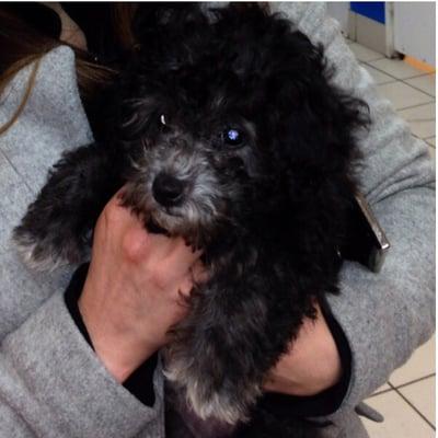 photo of Elizabeth K.