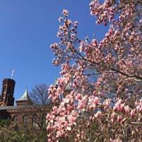 photo of Josephine W.