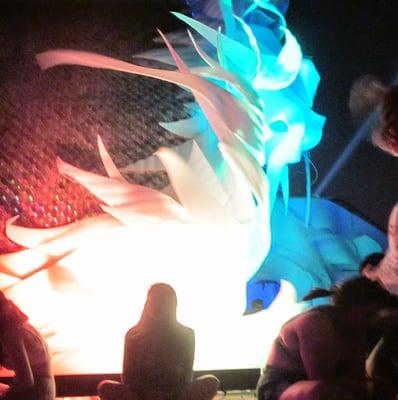 photo of Shellsea K.