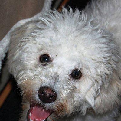 photo of Georganne R.